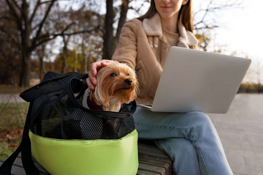 Finding a Pet-Friendly Service Provider