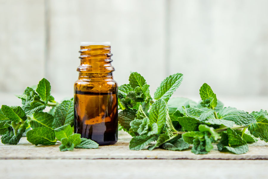 Peppermint Leaves and Oil